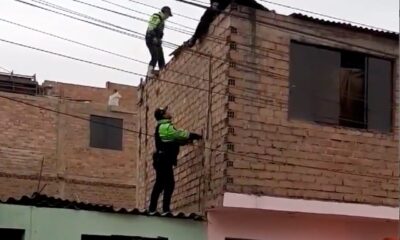 SEC 0013 Mexican police operations