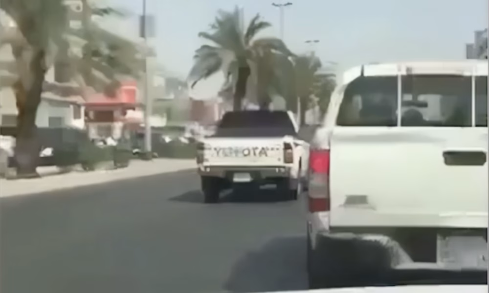 DMB 0109 Driver Tries to Text and Drive